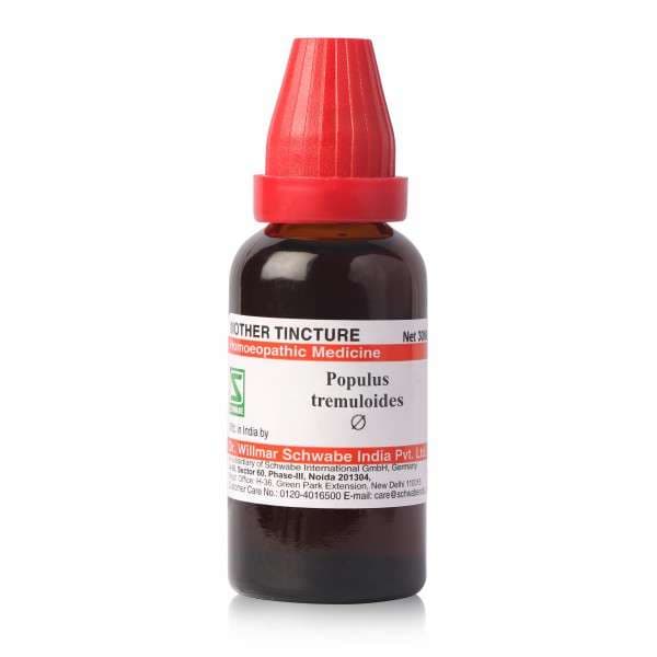 Populus Tremuloides 2