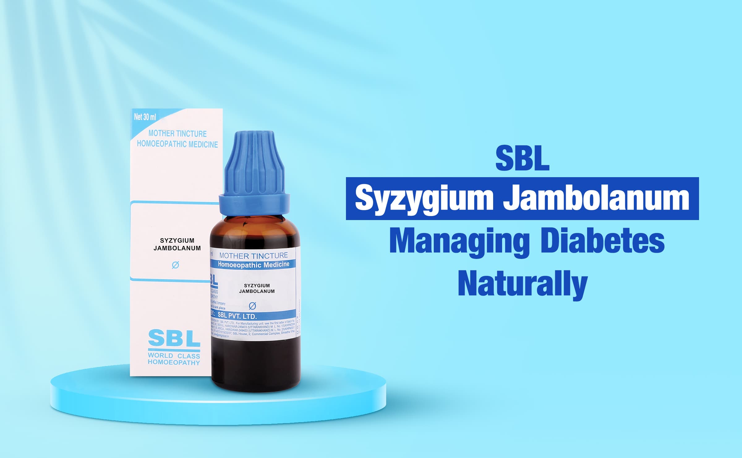 Syzygium Jambolanum 2