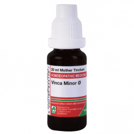 Vinca Minor 12