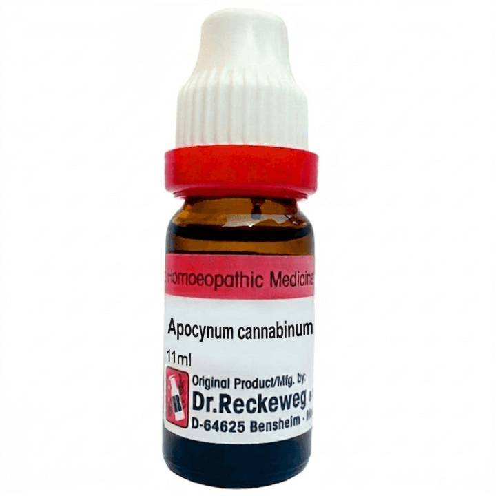 Apocynum Cannabinum 2