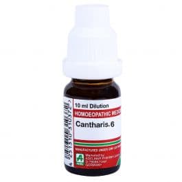 Cantharis 8