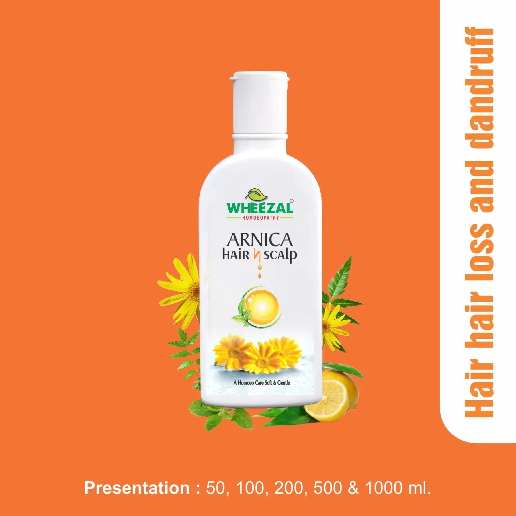 WHEEZAL ARNICA HAIR N SCALP SHAMPOO 2