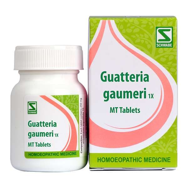 Guatteria Gaumeri 11