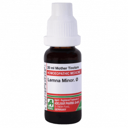Lemna Minor 9