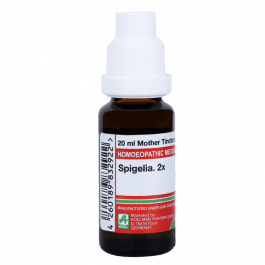Spigelia 2