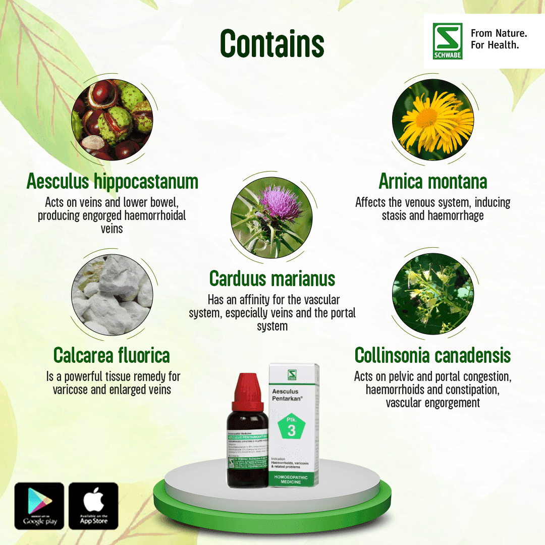 Aesculus Pentarkan 3