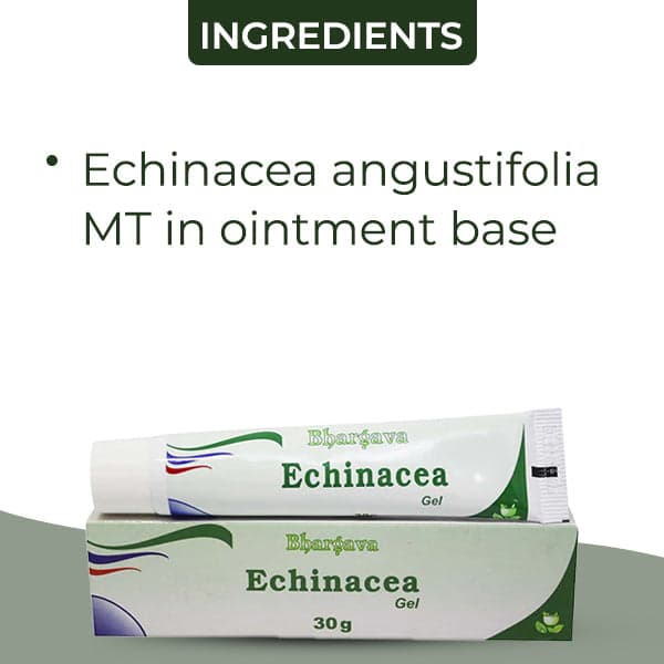Echinacea Gel 6