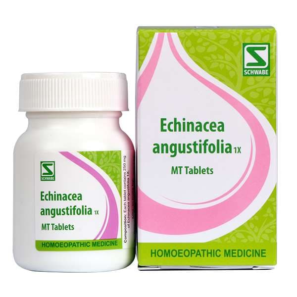 Echinacea Angustifolia 5