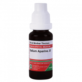 Galium Aparine 6