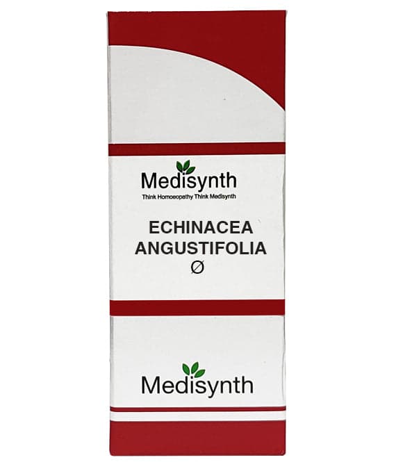 Echinacea Angustifolia 2