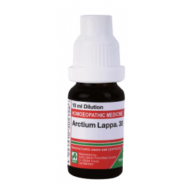 Arctium Lappa 2