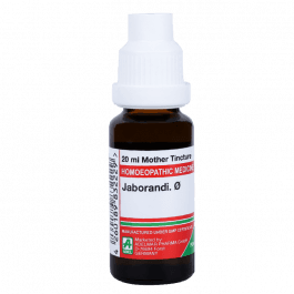 Jaborandi 3