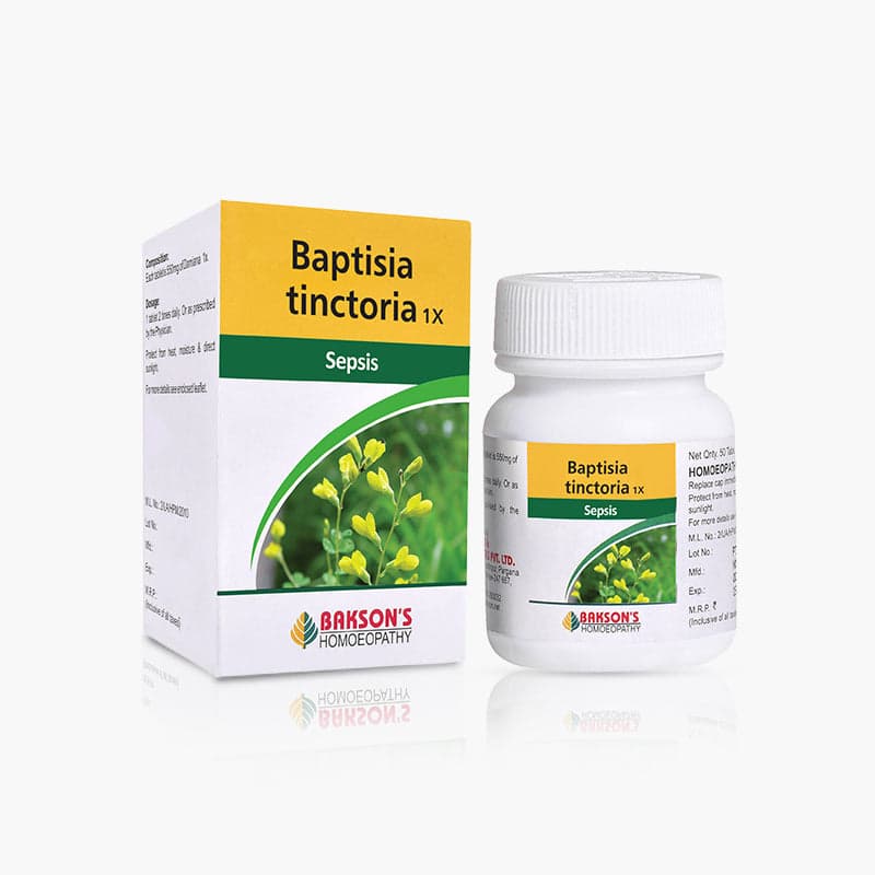 Baptisia Tinctoria 5