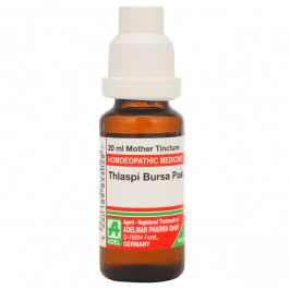 Thlaspi Bursa Pastoris 7