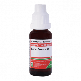 Iberis Amara 7