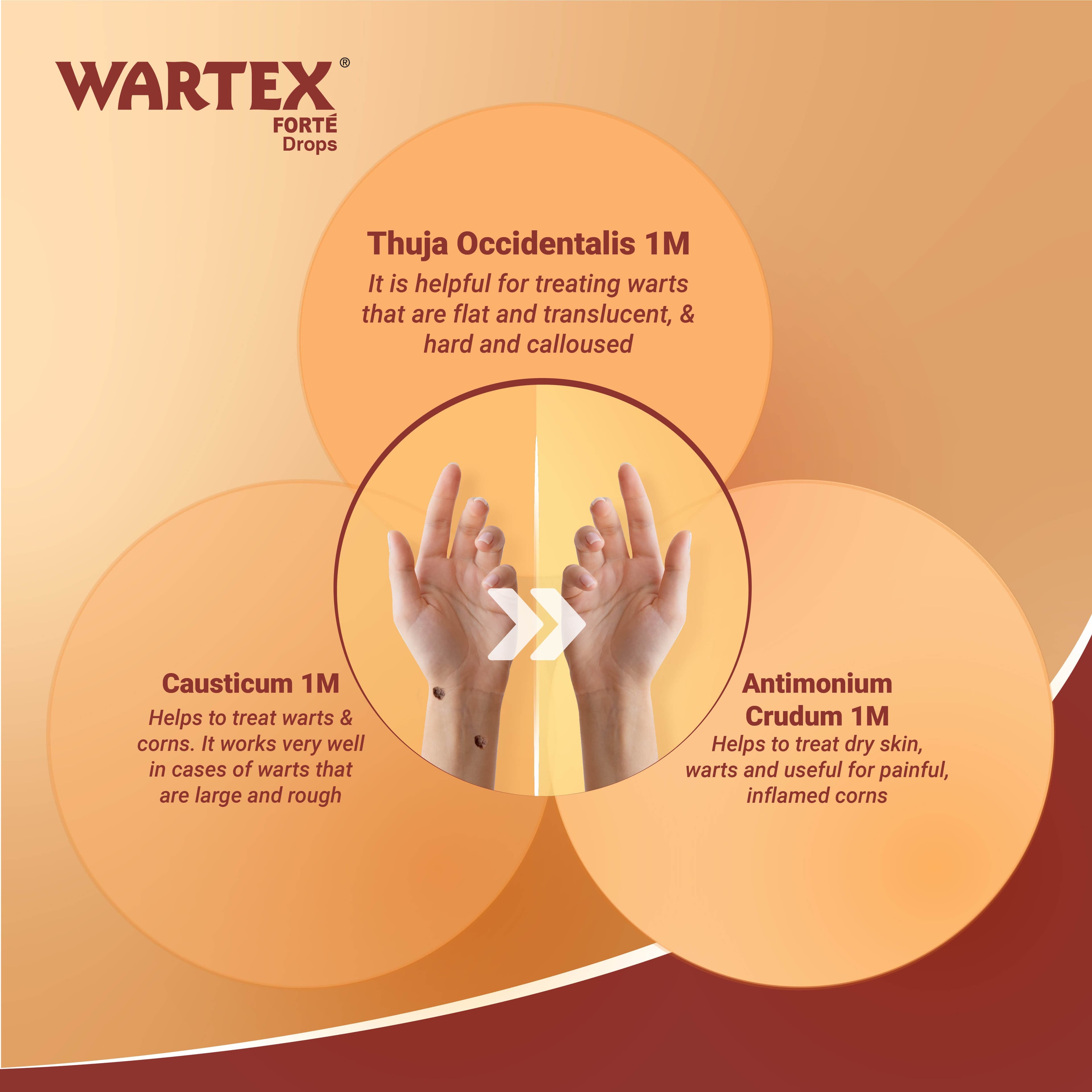 Wartex Forte oral drops 5