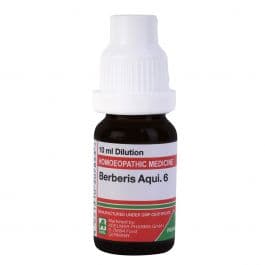 Berberis Aquifolium 11