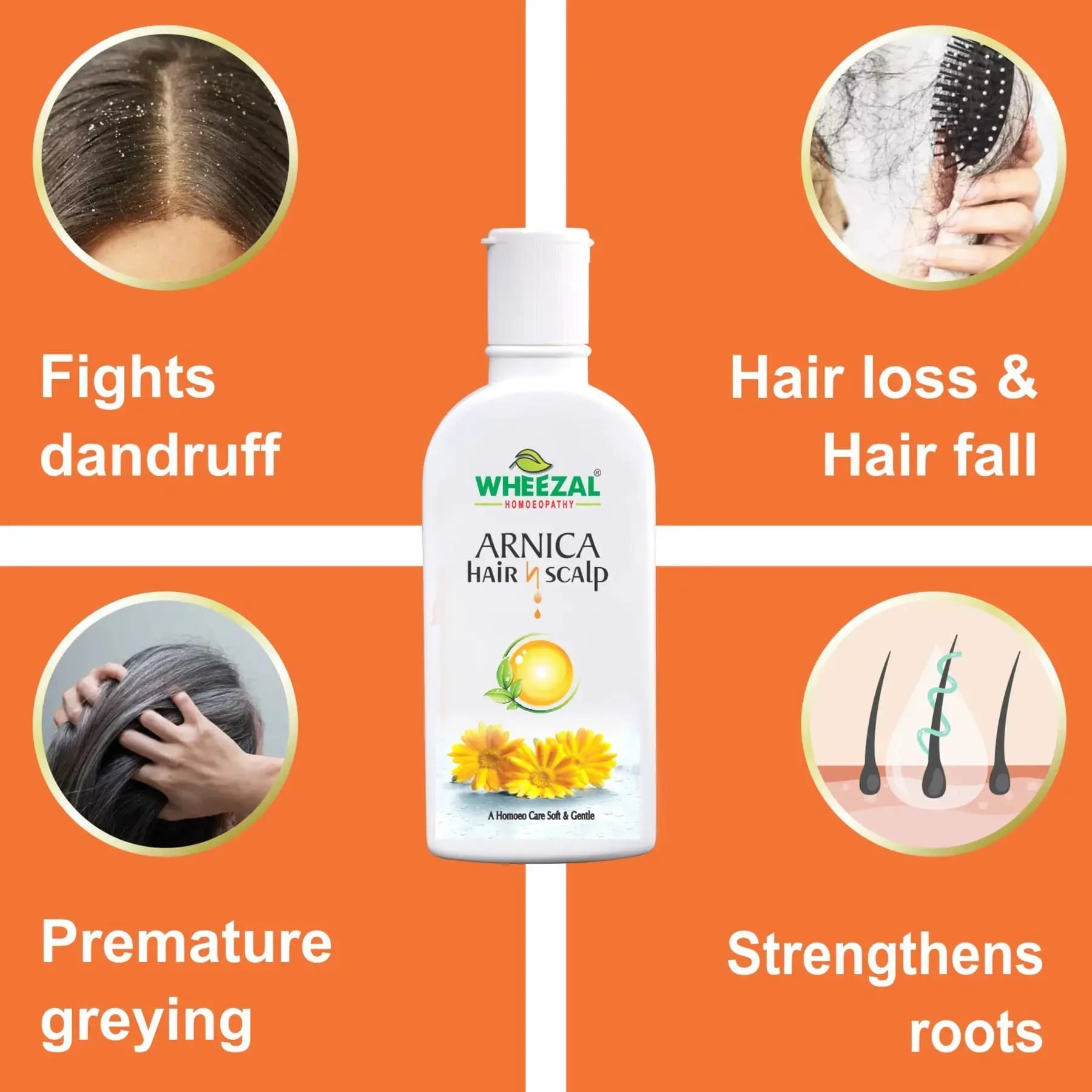 WHEEZAL ARNICA HAIR N SCALP SHAMPOO 4