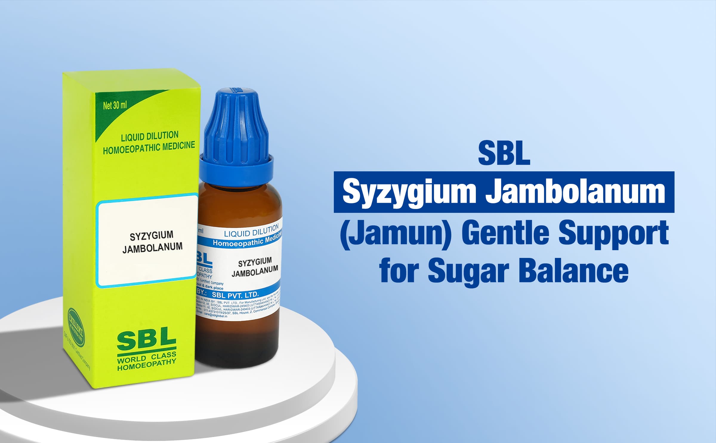 Syzygium Jambolanum 3