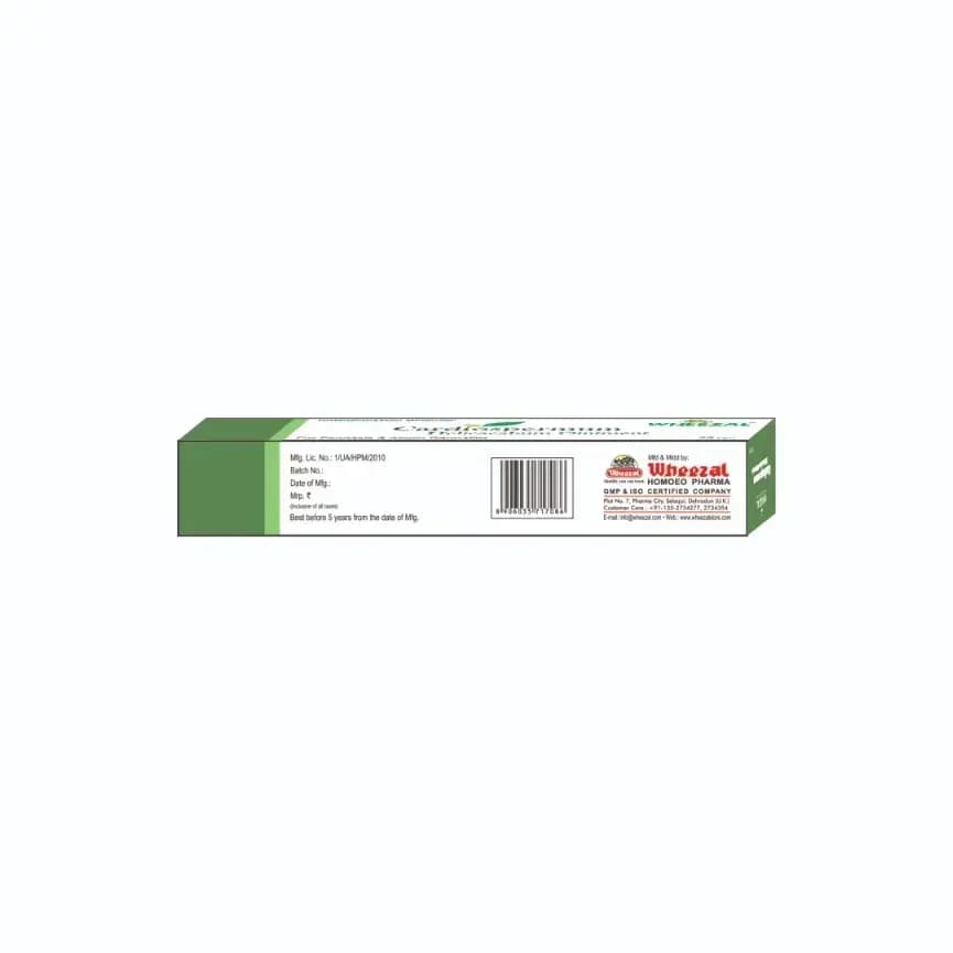 CARDIOSPERMUM HELICACABUM OINTMENT 4