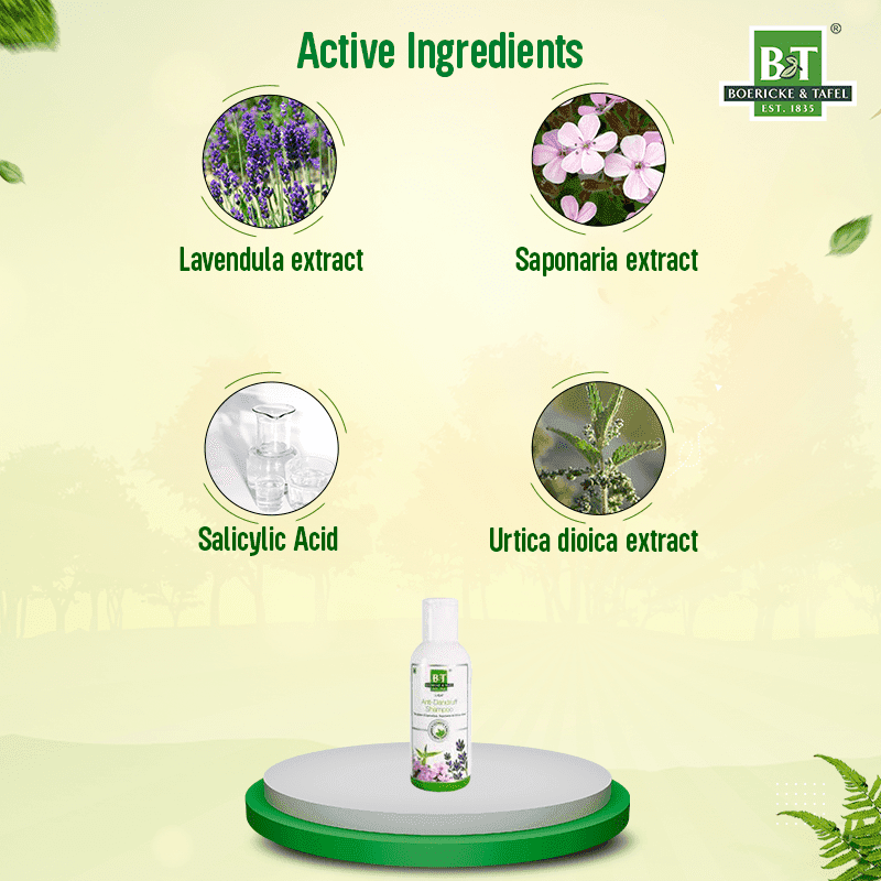 B&T Anti Dandruff Shampoo 3