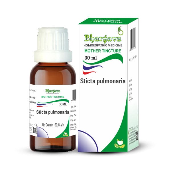Sticta Pulmonaria 7