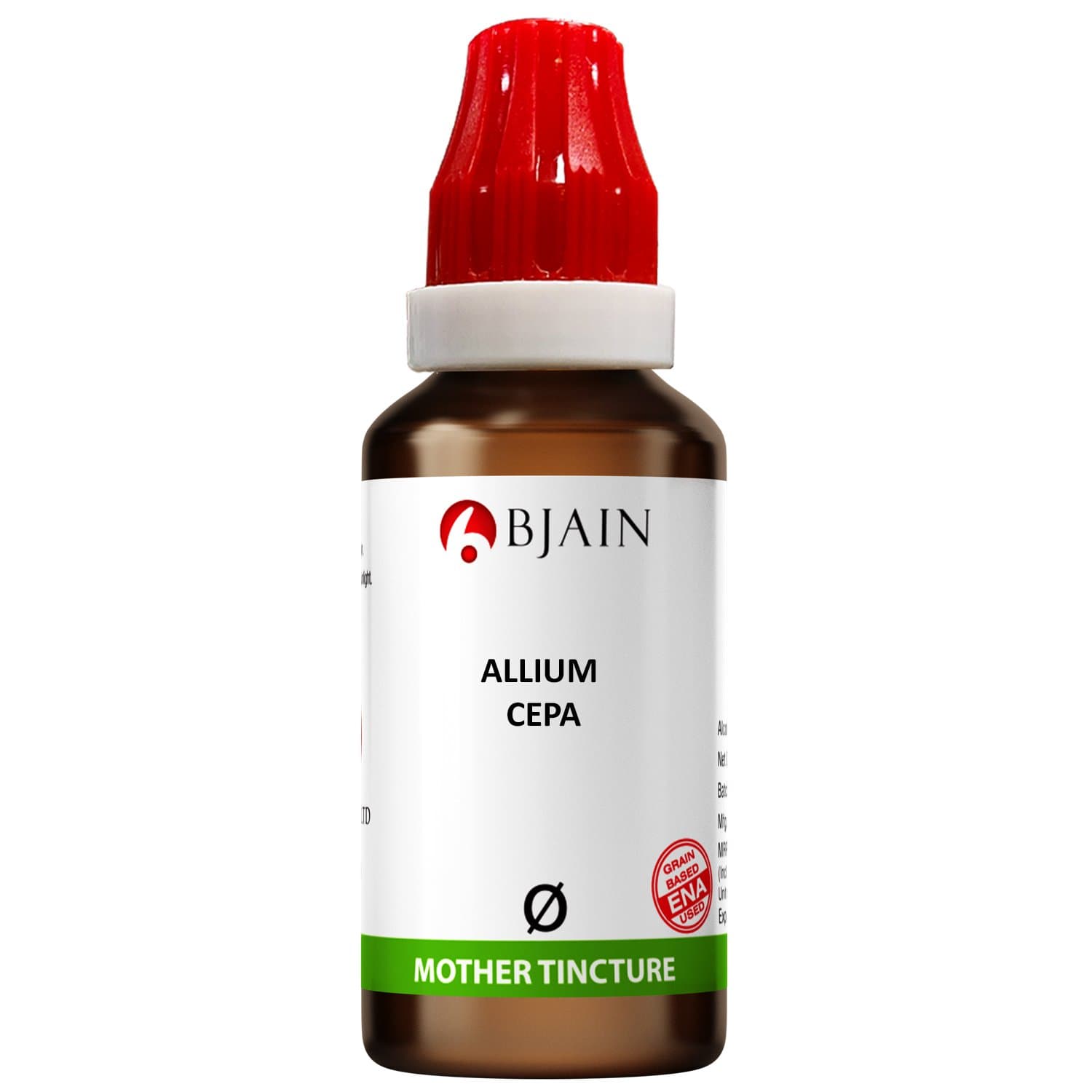 Allium Cepa 10