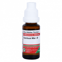 Carduus Marianus 5