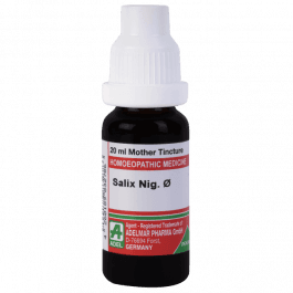 Salix Nigra 7