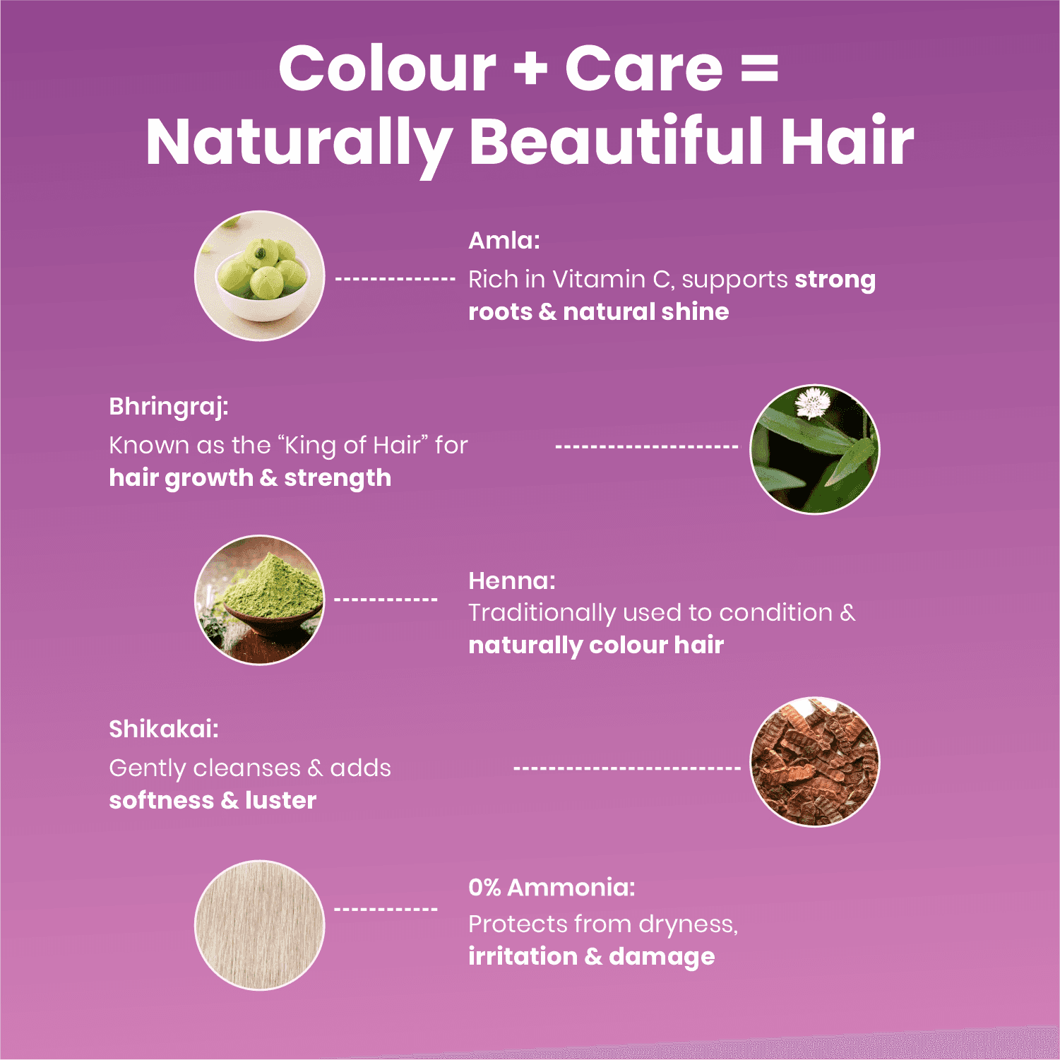 Adven Naturals BLACK HAIR COLOR 20 GM 6