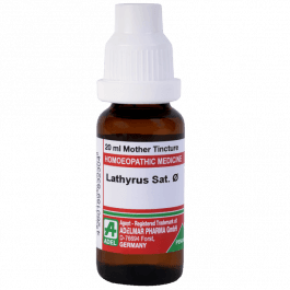 Lathyrus Sativus 2
