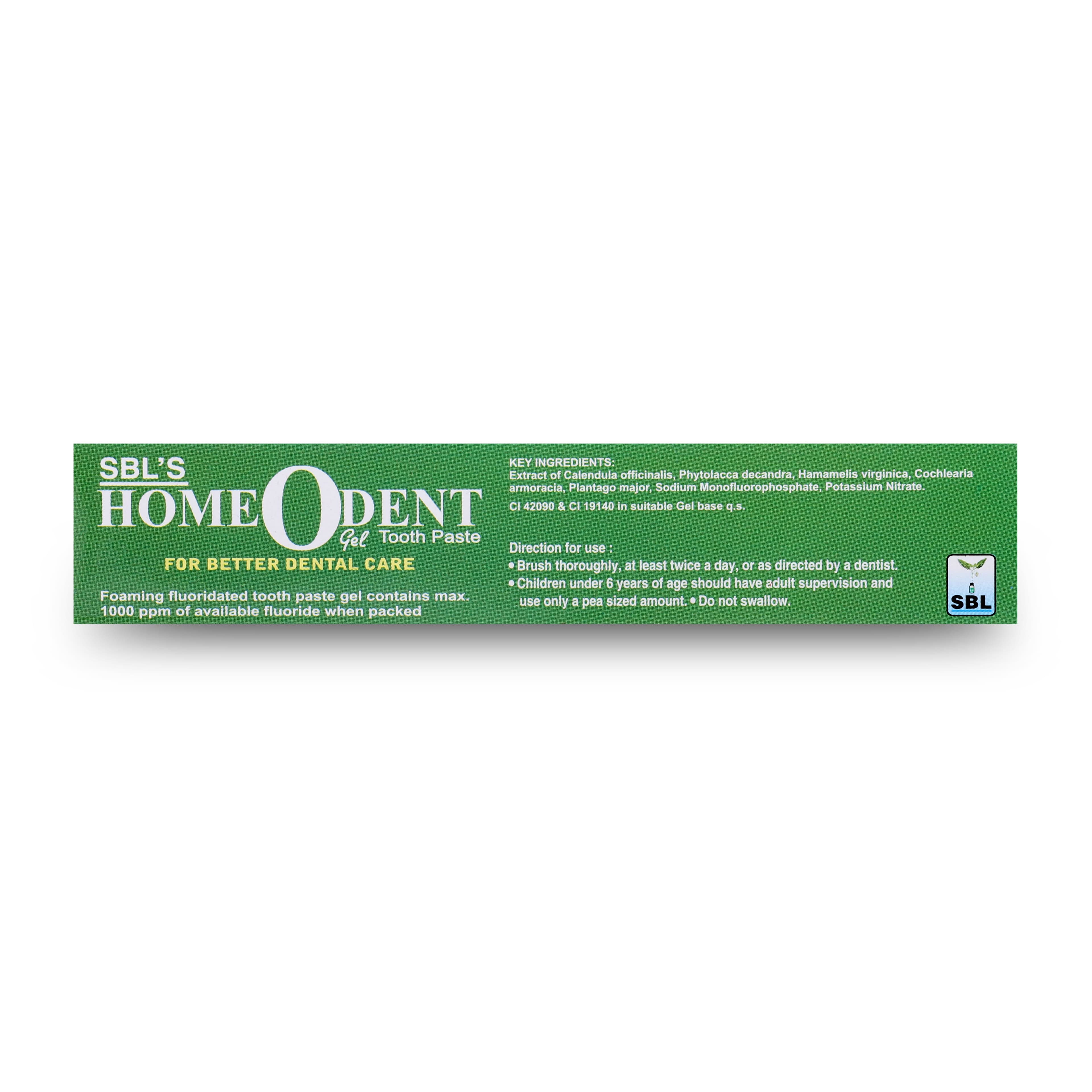 Homeodent Tooth Paste (Saunf Gel) 4