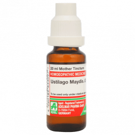 Ustilago Maydis 3