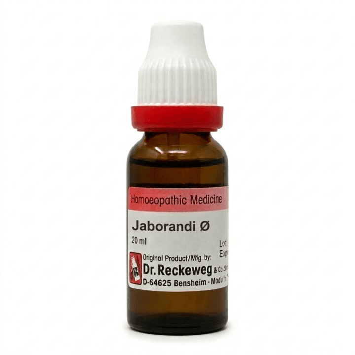 Jaborandi