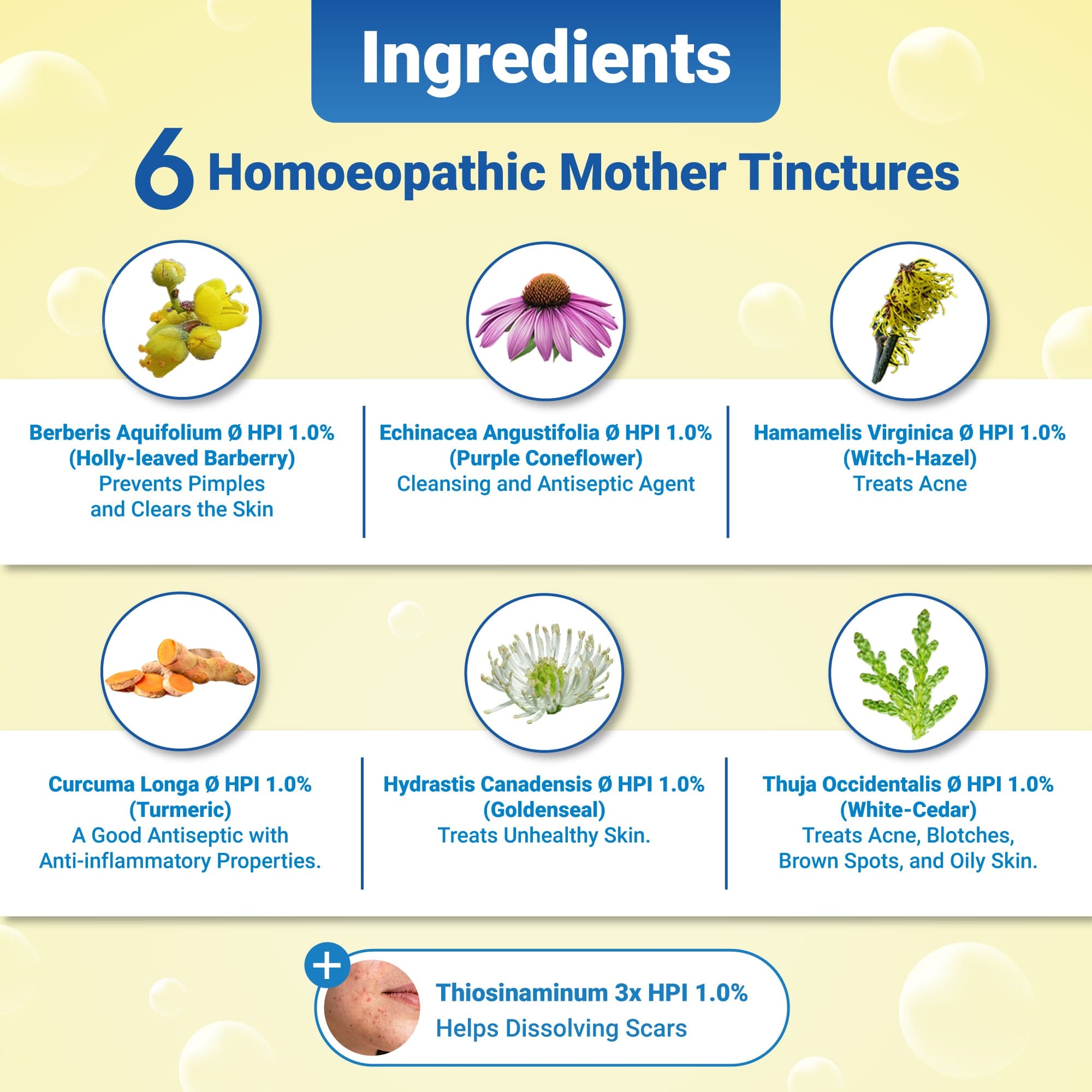 Aquifolium Ultra Cleanser 4