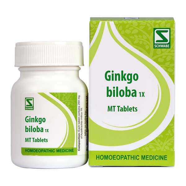 Ginkgo Biloba 3