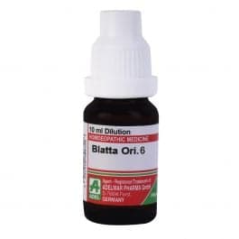 Blatta Orientalis 5