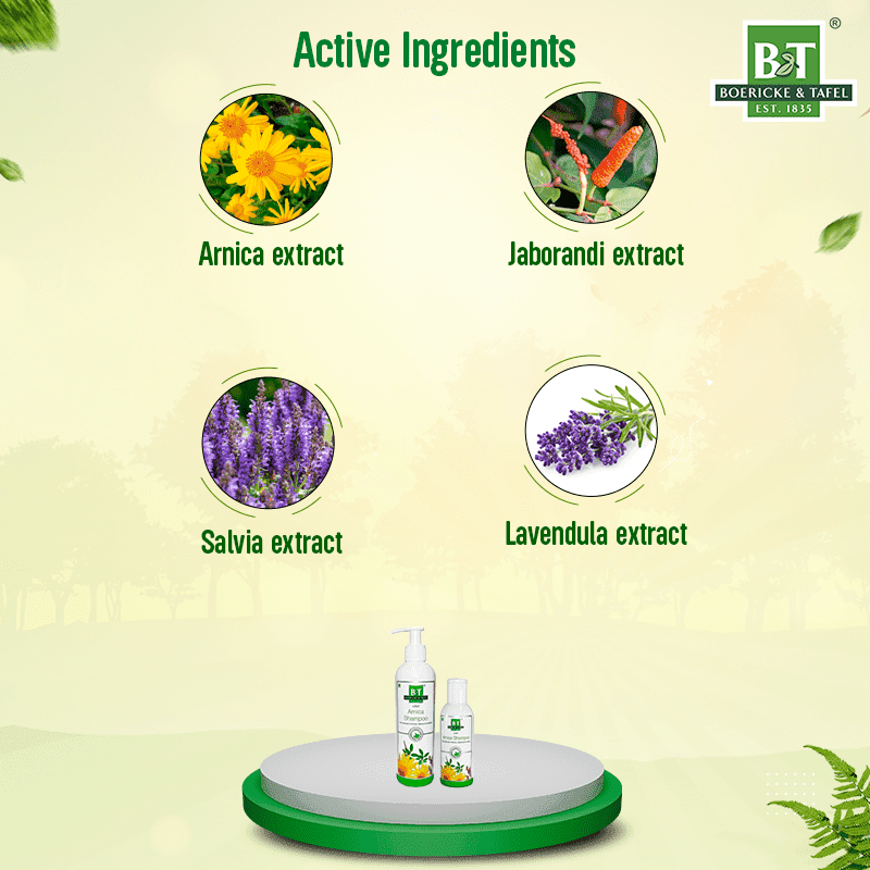 B&T Arnica Shampoo 7