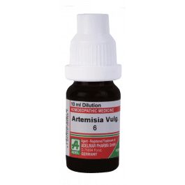 Artemisia Vulgaris 3