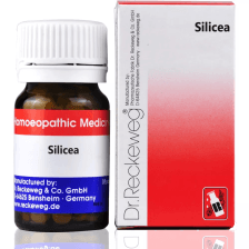Silicea 13