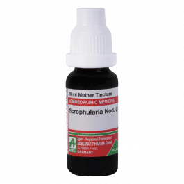 Scrophularia Nodosa 7