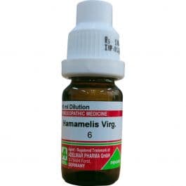 Hamamelis Virginica 5