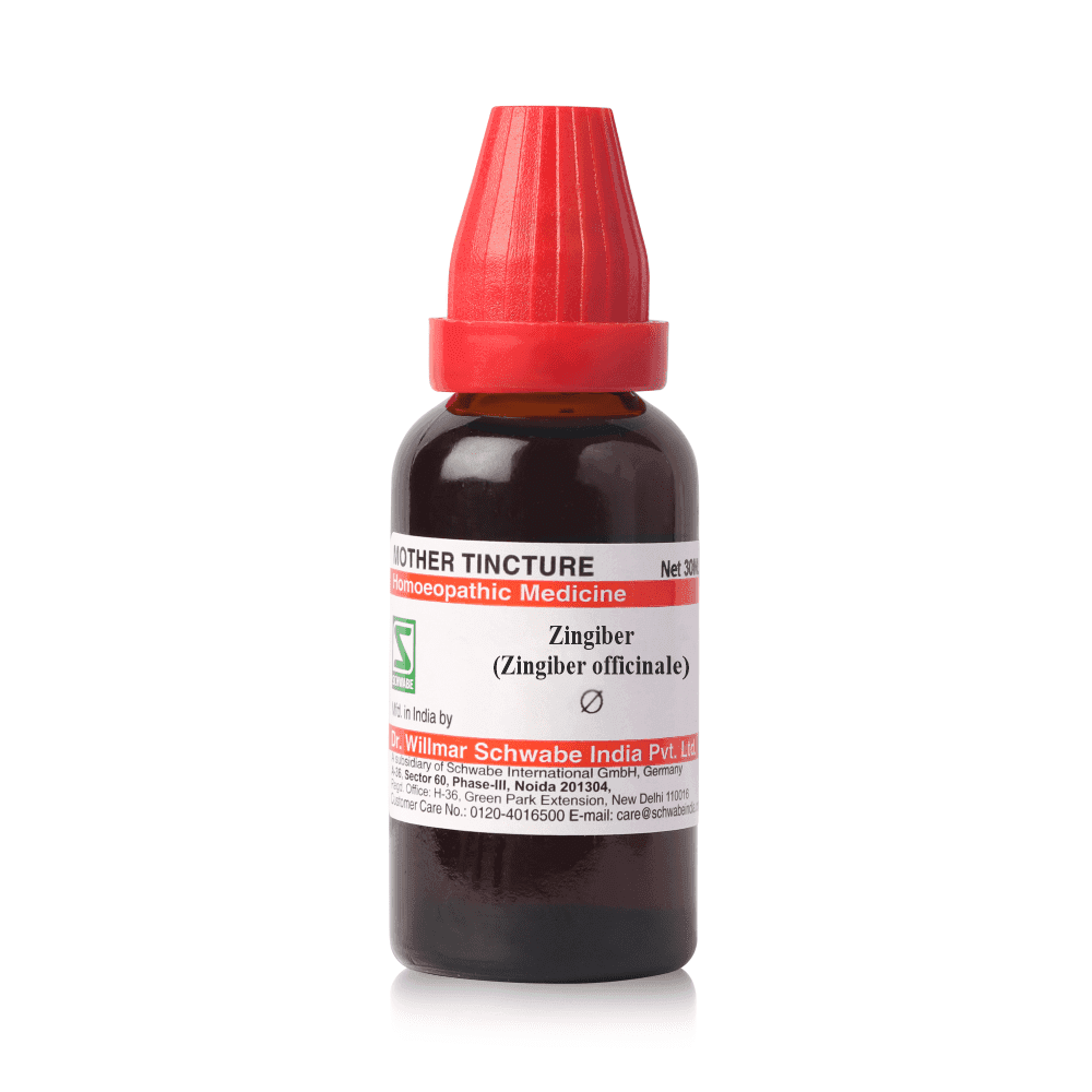 Zingiber Officinale 5