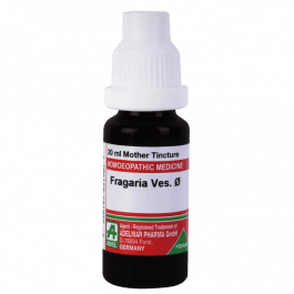 Fragaria Vesca 3