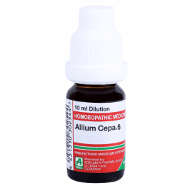 Allium Cepa 9