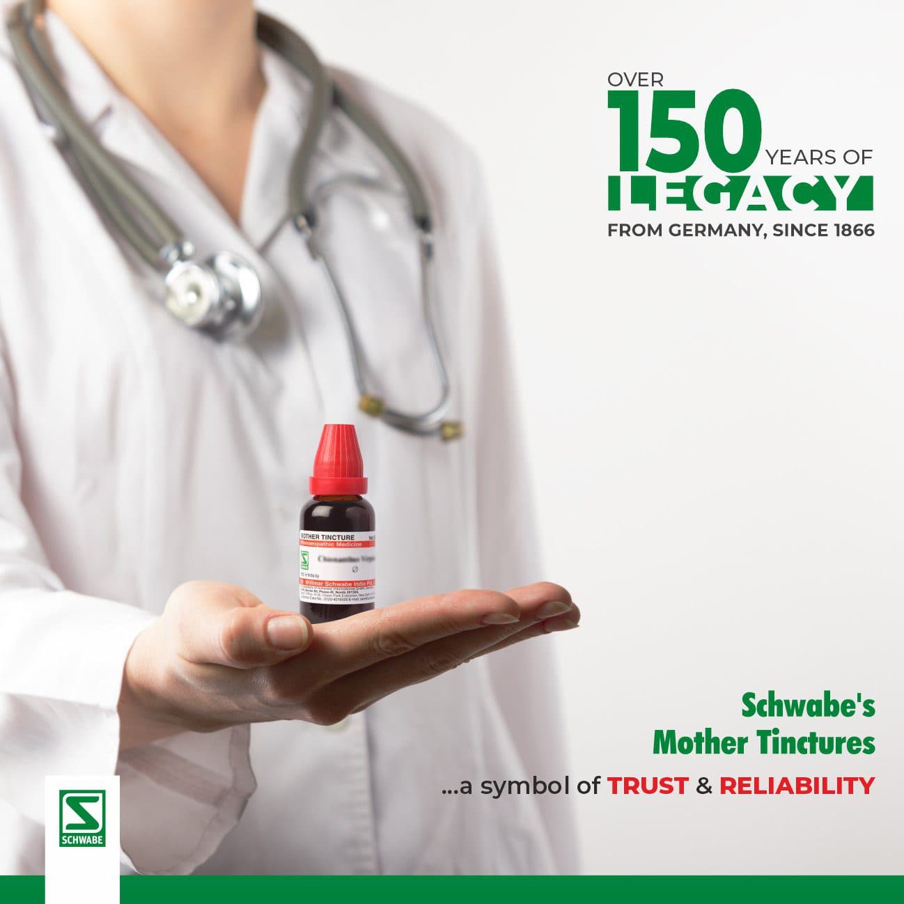 Gossypium Herbaceum 4