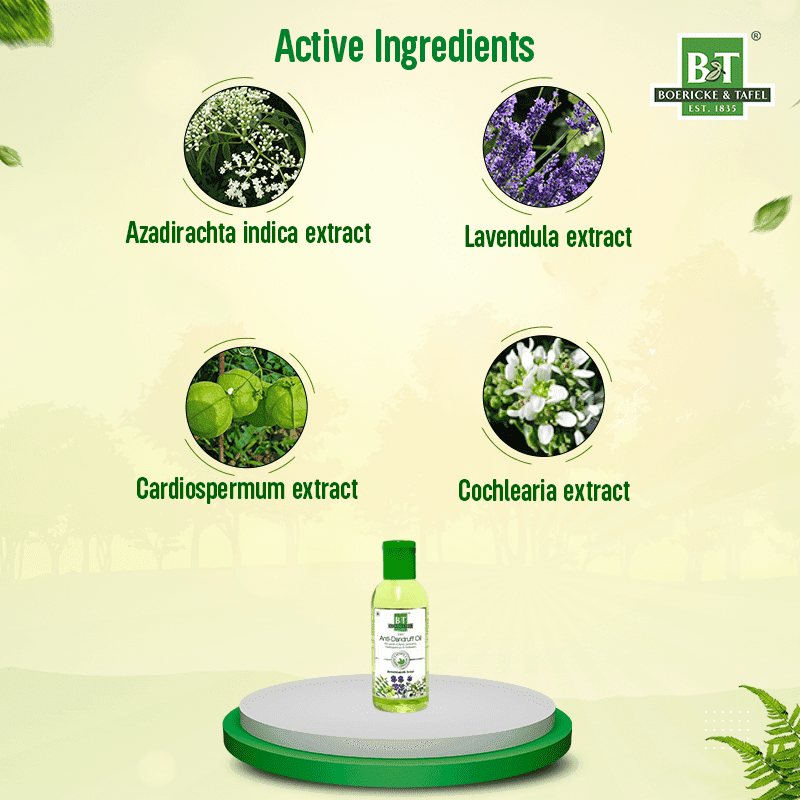 B&T Anti Dandruff Oil 3