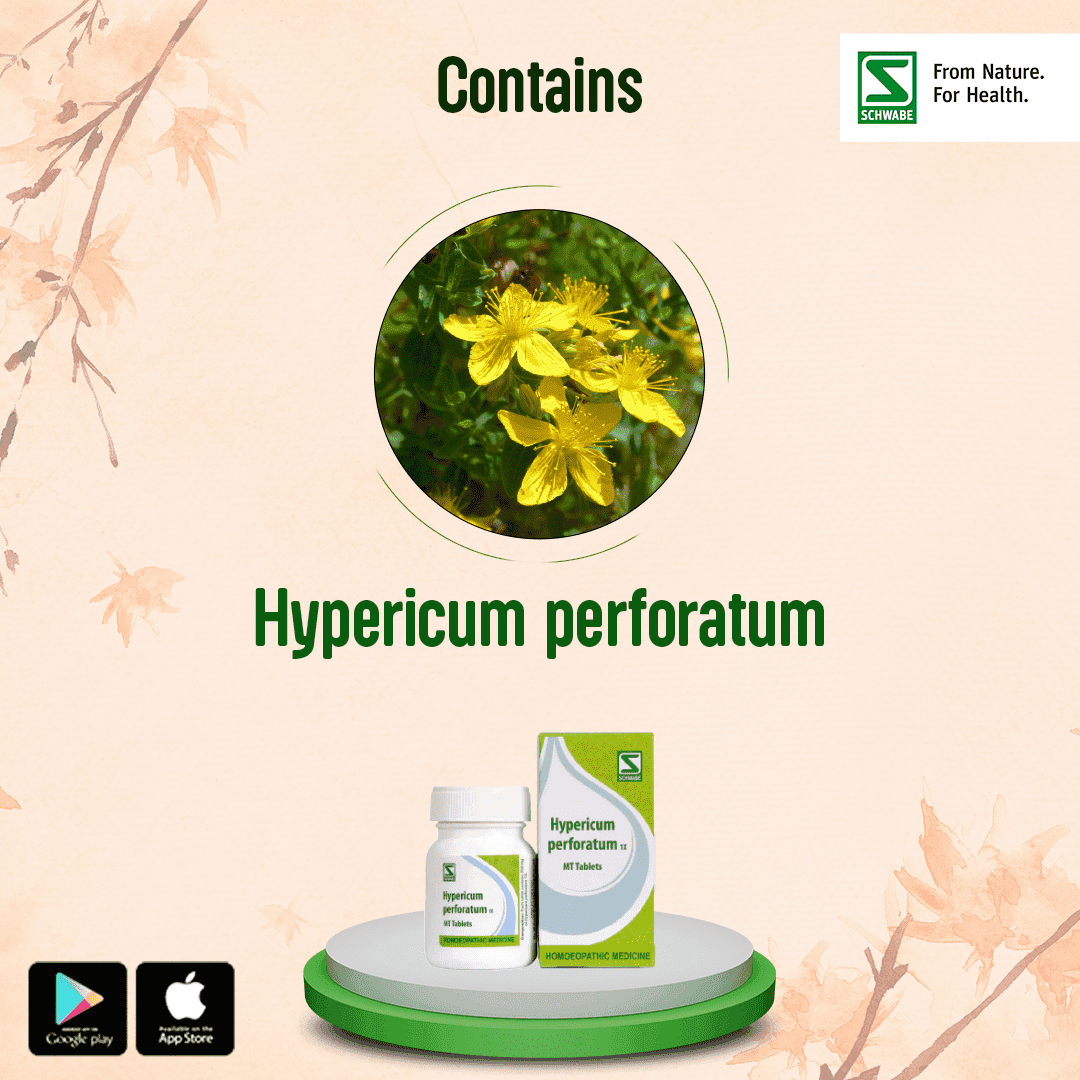 Hypericum Perforatum 3
