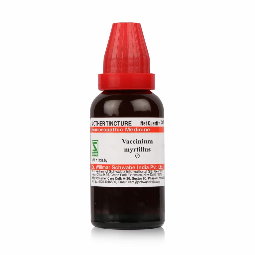 Vaccinium Myrtillus 2