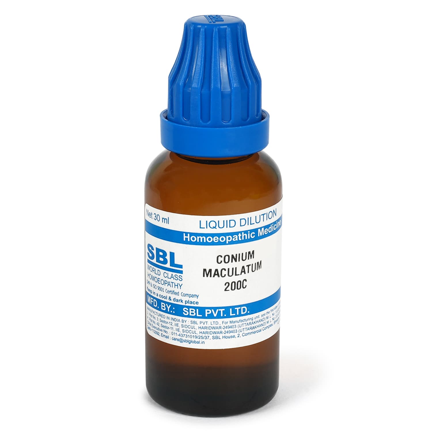 Conium Maculatum 5